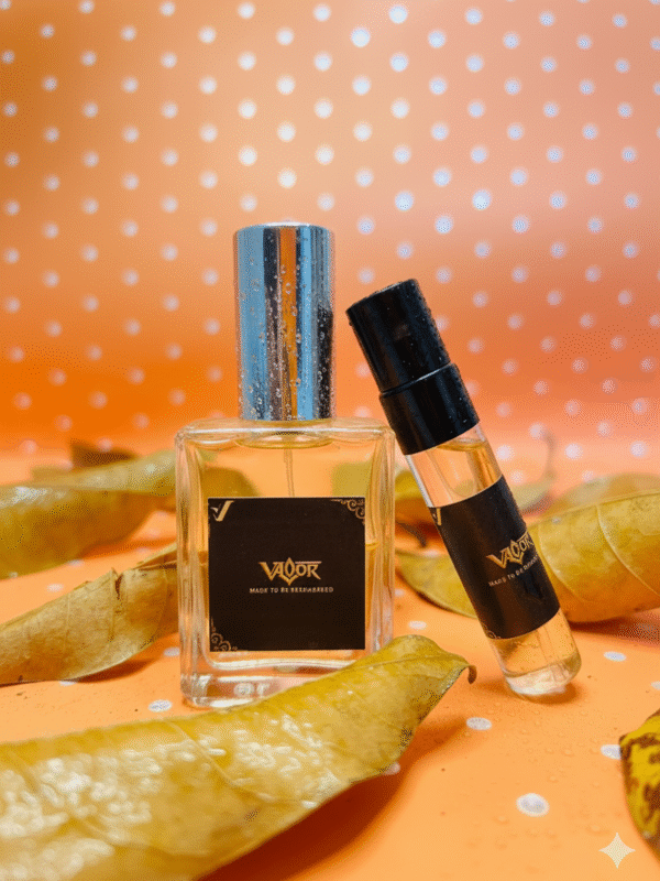 TehjeebXValor Fire Valor Fire