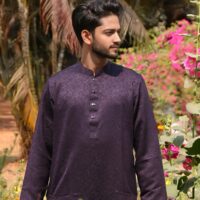 Tehjeeb Purple Katan Punjabi (Eid Collection 2026) Tehjeeb Purple Katan Punjabi (Eid Collection 2026)